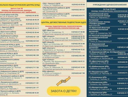 Карта помощи Брестской области